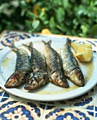 Grilled sardines with lemon