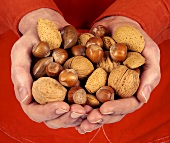 Hands holding assorted nuts