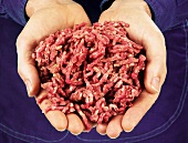 Hands holding fresh mince