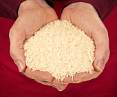 Hands holding basmati rice