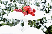Fresh strawberries in snow on glass stand