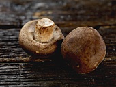 Two shiitake mushrooms on wooden background