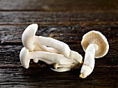 Shimeji mushrooms on wooden background