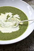 A plate of watercress soup with cream