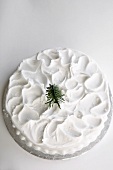 Cake with snow icing and small fir tree