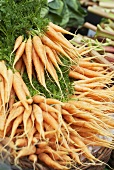 Bunches of carrots on a market stall