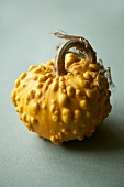 A yellow gourd