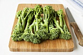 Broccoli on wooden board