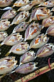 Fish drying on a rack