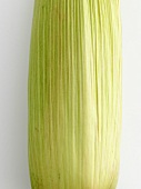 Corn on the cob with husk (detail)