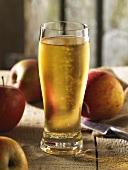 A glass of ice-cold cider with apples