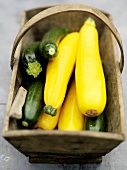 Yellow and green courgettes in wooden basket
