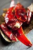 Dried chillies on tree bark