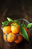Mandarin oranges with leaves in a plastic punnet