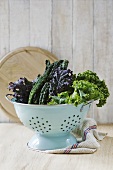 Leaves of various types of kale in a colander
