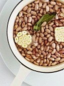 Soaked borlotti beans with garlic and bay leaf