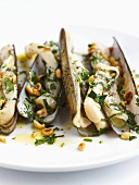 Razor shells with walnut and herb dressing