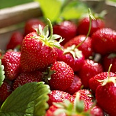 Fresh strawberries in crate (close-up)