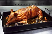 Roasted suckling pig in roasting tin