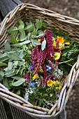 Fresh herbs and flowers in basket