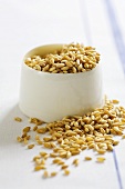Grains of wheat in and beside a small bowl
