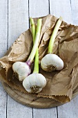 Fresh garlic on a paper bag