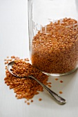 Red lentils in a storage jar with a spoon