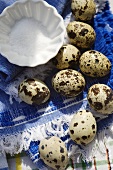Bolied quails' eggs and salt for a picnic