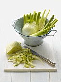 Fennel, partially chopped
