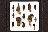 Various morel mushrooms on a white plate, seen from above