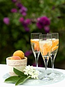 Champagne with apricots and elderflowers