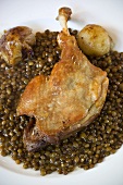 Duck confit with lentils