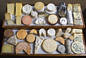A tray of various types of cheese