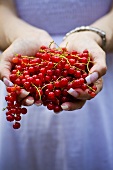 A woman holding redcurrants
