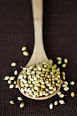 Coriander seeds on a wooden spoon