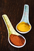 Turmeric and paprika powder on spoons
