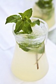 Peppermint sprigs in a glass carafe