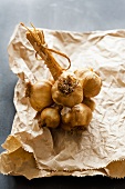 Fresh garlic, in a bundle, on paper