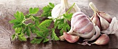 Garlic and parsley