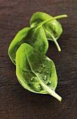 Three fresh spinach leaves on a wooden surface
