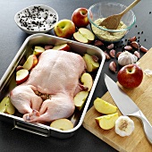 Gefüllte Ente mit Apfel und Knoblauch, zum Braten vorbereitet