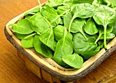 Fresh spinach leaves in a basket