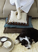 Ein Hund liegt auf dem Teppich und eine Person sitzt auf dem Sofa mit den Füssen auf Dekokissen