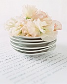 Stacked plates with cream flowers