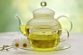 Camomile in glass cup and a pot