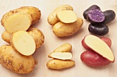 Waxy and floury potatoes, truffle potatoes and red potatoes
