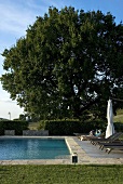 Liegestühle am Pool und grossgewachsener Baum im Garten