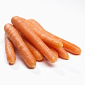Carrots (daucus carota)