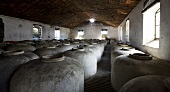 Wine stored in clay barrels in the wine cellar Bodega Alvear in Montilla, Spain