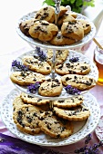 Lavender biscuits